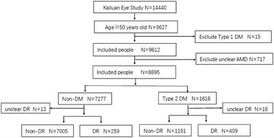 The Association Between Diabetic Retinopathy and the Prevalence of Age-Related Macular Degeneration—The Kailuan Eye Study